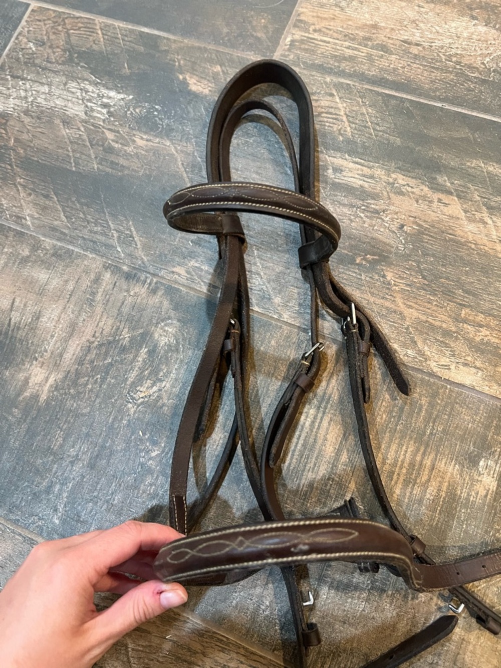 Thornhill bridle COB